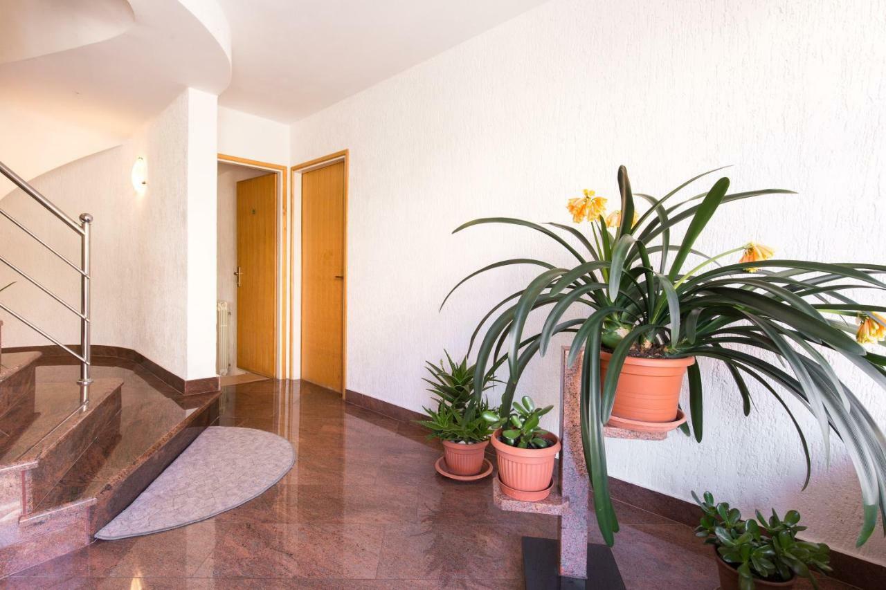 Paradiso Apartament *
